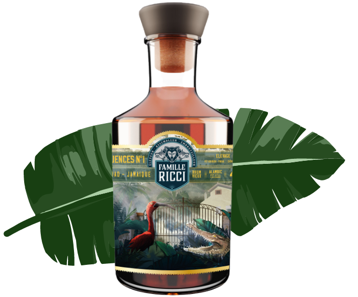 [A002523] Famille Ricci Influences N°1 46°