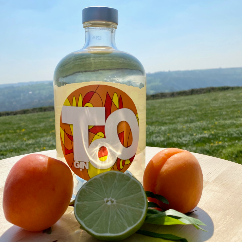 [A001348] Too Gin Summer 50cl
