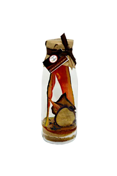 Délices Métisses Poire Papaye 50cl