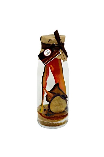 Délices Métisses Poire Papaye 50cl